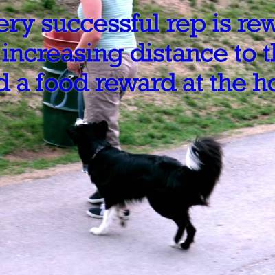 TRAINING VIDEOS